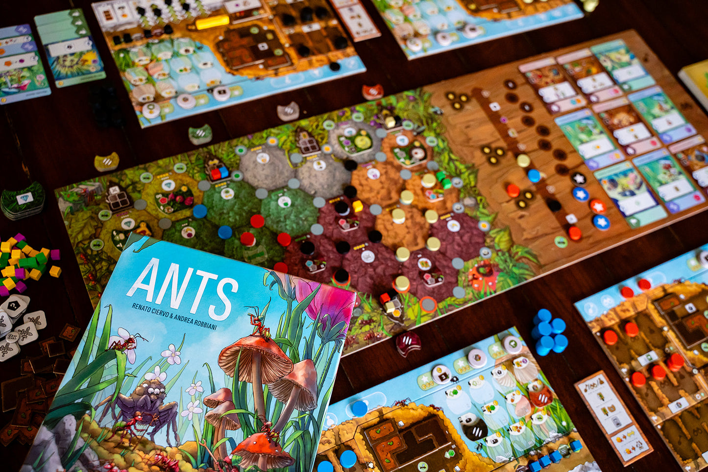 ANTS