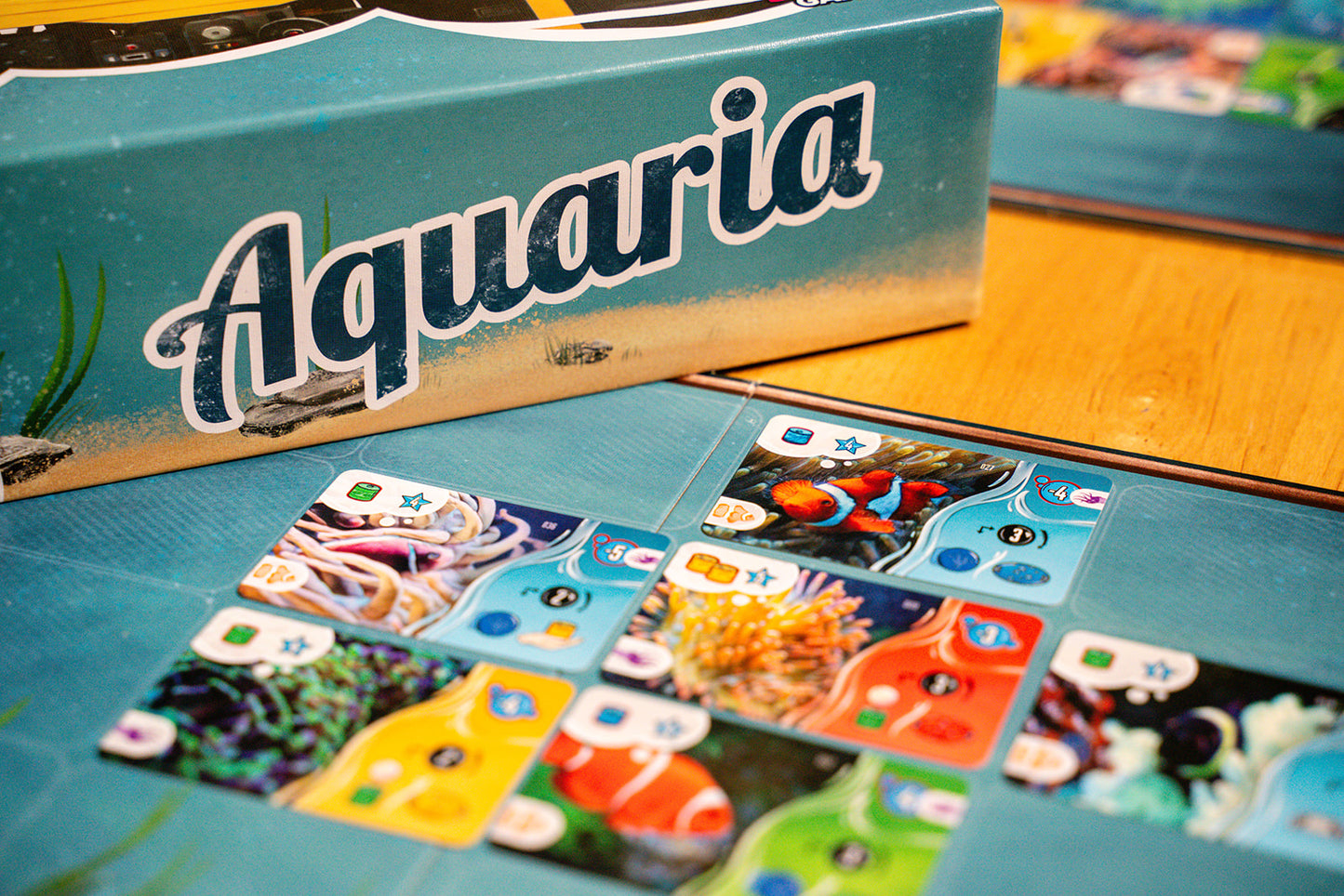 Aquaria
