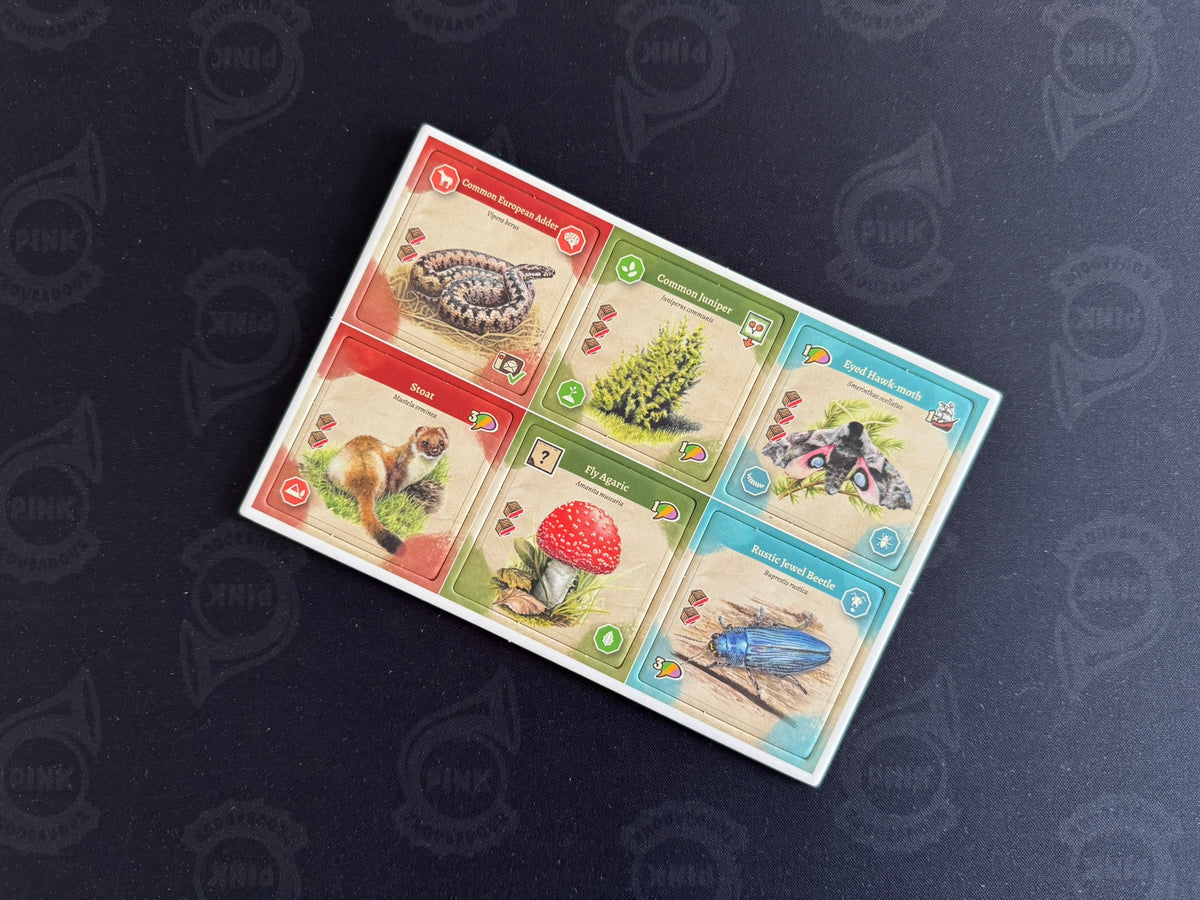 Carl von Linné: New Species Promo